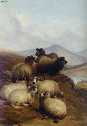 unknow artist Sheep 192 china oil painting reproduction